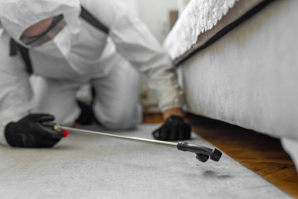 Professional Termite Control technician working in Gunter, TX